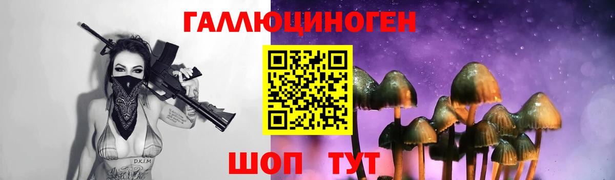 Псилоцибиновые грибы прущие грибы  купить наркотик  Звенигород  Вход с VPN  Галлюциногенные грибы Psilocybe 