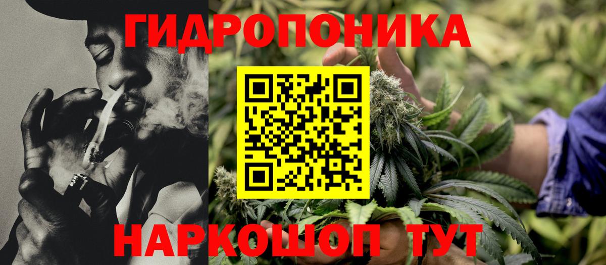 Марихуана индика  МАРИХУАНА план  Вход с VPN  Звенигород 